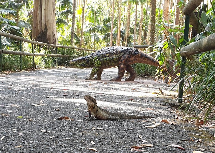 Australia Zoo photo