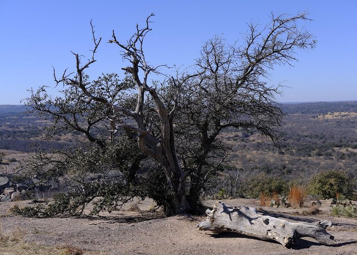 Enchanted Rock State Natural Area photo