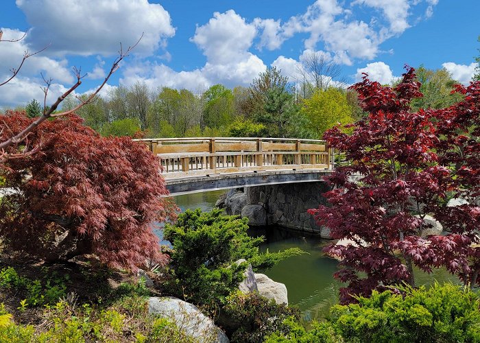 Frederik Meijer Gardens & Sculpture Park photo