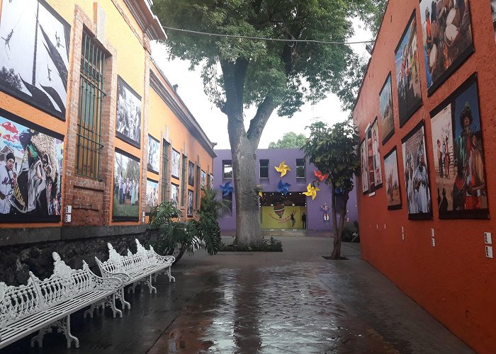 Frida Kahlo House Museum photo