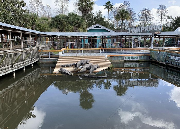 Gatorland photo