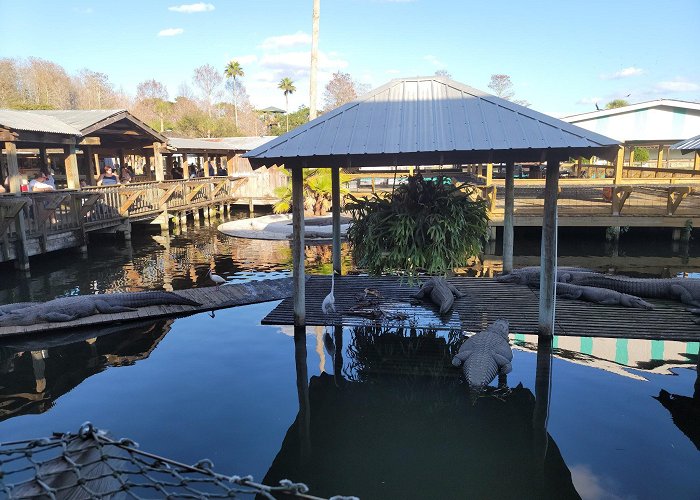 Gatorland photo