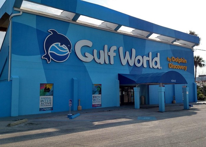 Gulf World Marine Park photo