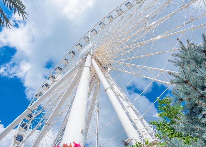 The Island in Pigeon Forge photo