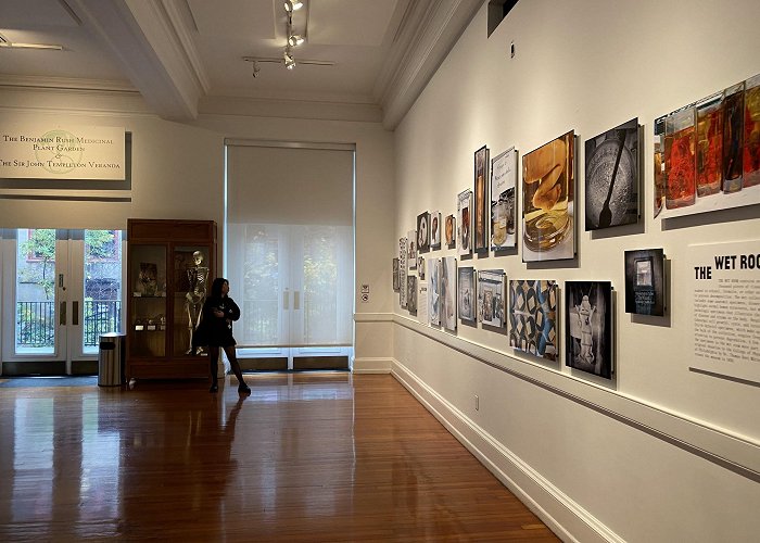 Mutter Museum photo