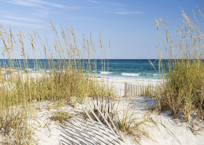 Gulf Islands National Seashore photo