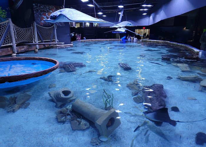 San Antonio Aquarium photo