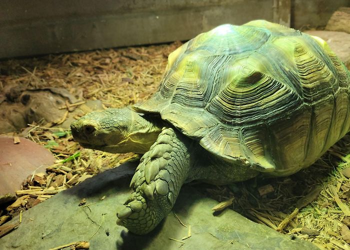 San Antonio Aquarium photo