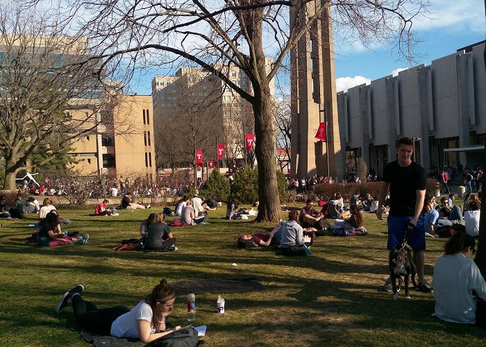 Temple University photo