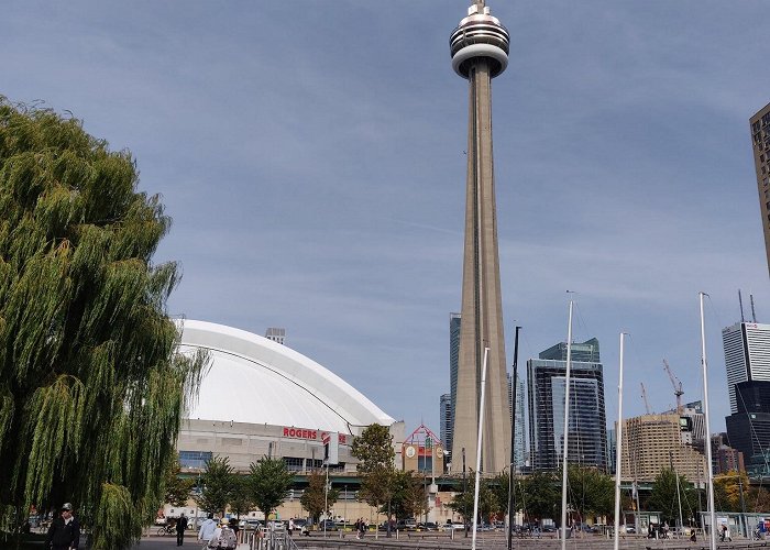 CN Tower photo