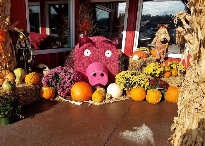 Comedy Barn photo