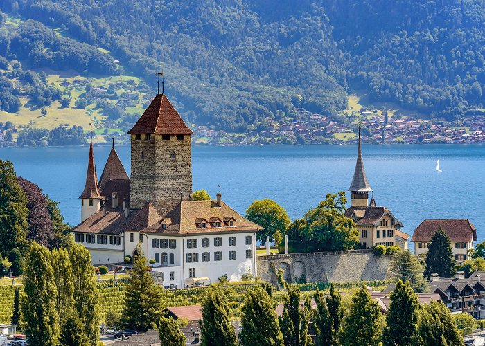 Spiez Castle Visit Spiez: 2024 Travel Guide for Spiez, Canton of Bern | Expedia photo