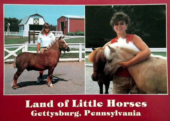 Land of Little Horses Who Knew… About Gettysburg | The Deltiology Deity photo