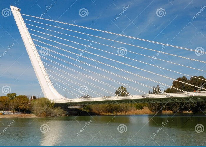 Alamillo Park Alamillo bridge editorial stock photo. Image of built - 23742168 photo