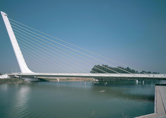 Alamillo Park Alamillo Bridge, Seville - Santiago Calatrava | Arquitectura Viva photo