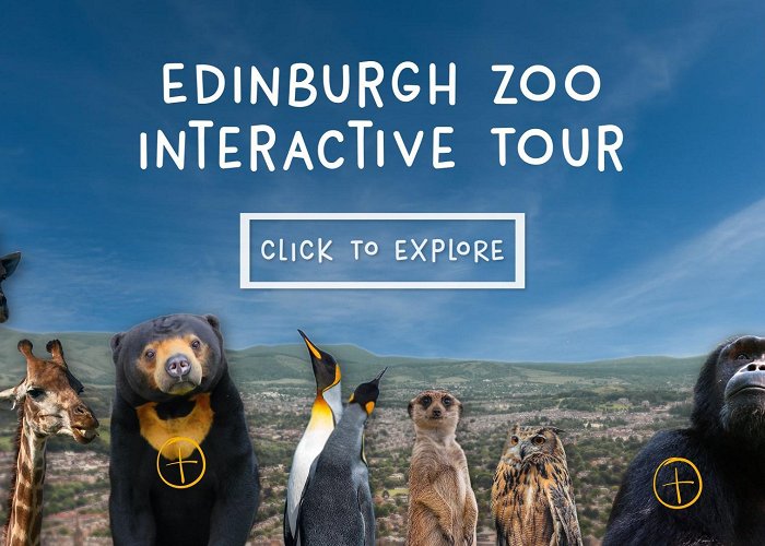 Edinburgh Zoo Interactive tour | Edinburgh Zoo photo