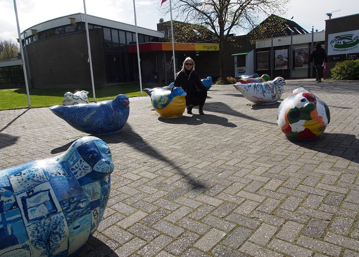 Zeehondencreche Pieterburen Seal Sanctuary on Holland's Coast – Tammy Tour Guide photo