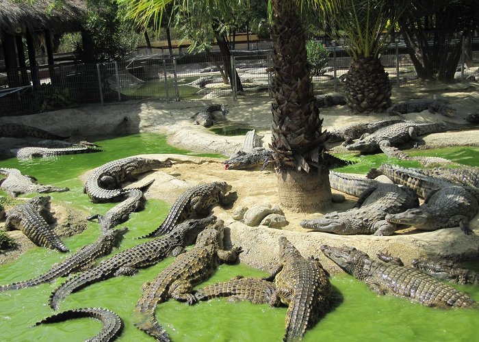 Crocodile Park Animal Parks | www.villamarina.es photo