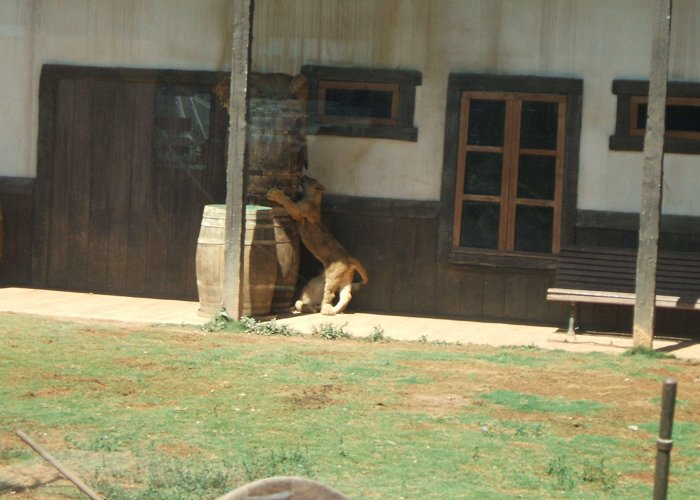 Terra Natura Terra Natura in Murcia: 18 reviews and 35 photos photo