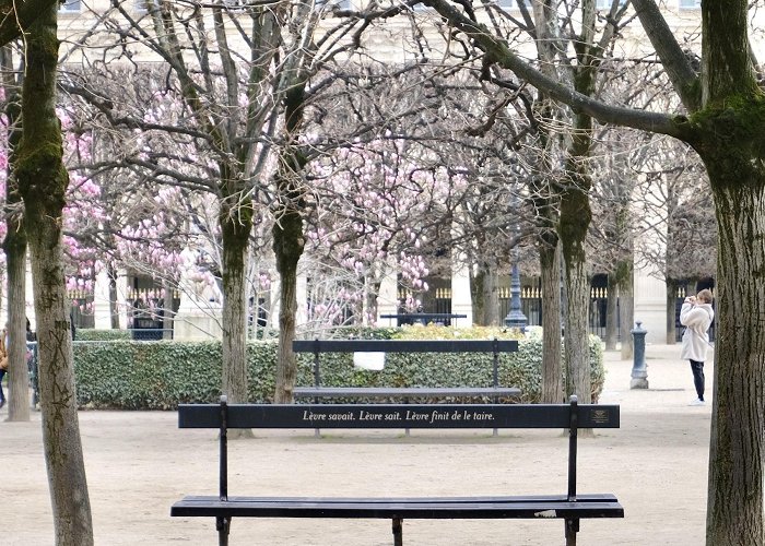 Jardin du Palais Royal A Walk Through Palais-Royal - Favorite Paris Walks - Landen Kerr photo