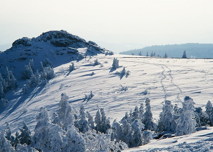 Großer Arber Top Ski Touring Routes in Bayerisch Eisenstein | Outdooractive photo