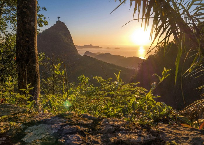 Jardim Zoológico RIOZOO Rio Zoo | Rio de Janeiro, Brazil | Attractions - Lonely Planet photo