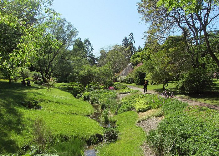 Botanical Garden University of Rostock Rostock Botanical Garden photo