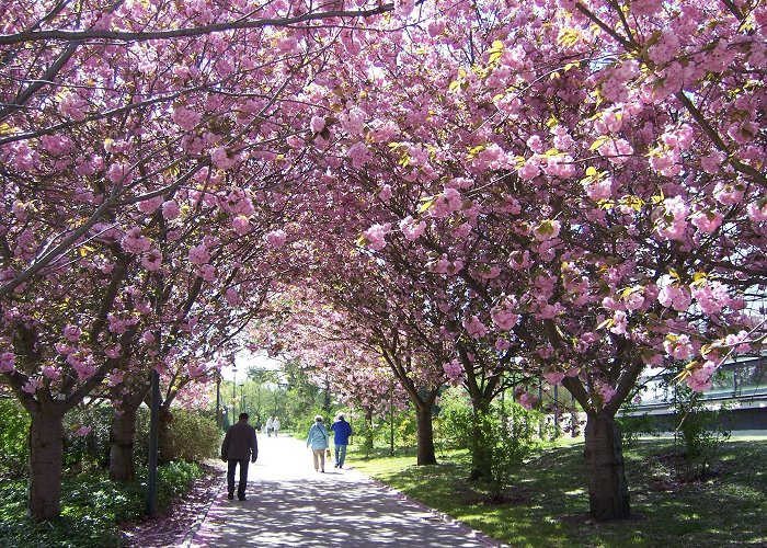 Botanical Garden University of Rostock Welcome to the Garden of Eden! – BalticSeaBackpackerTips photo