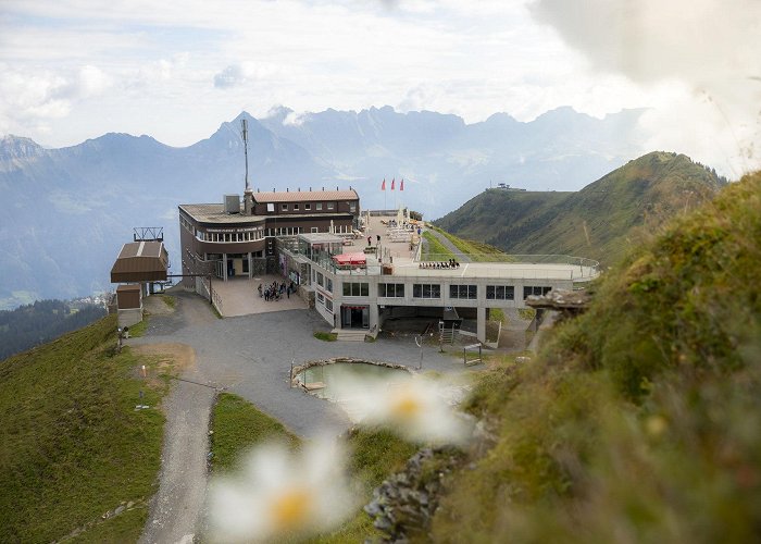 Maschgenkamm Panoramarestaurant Maschgenkamm - Flumserberg Tannenbodenalp - Guidle photo