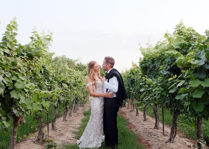 Kurtz Orchards Unforgettable Kurtz Orchards Wedding Video Niagara photo