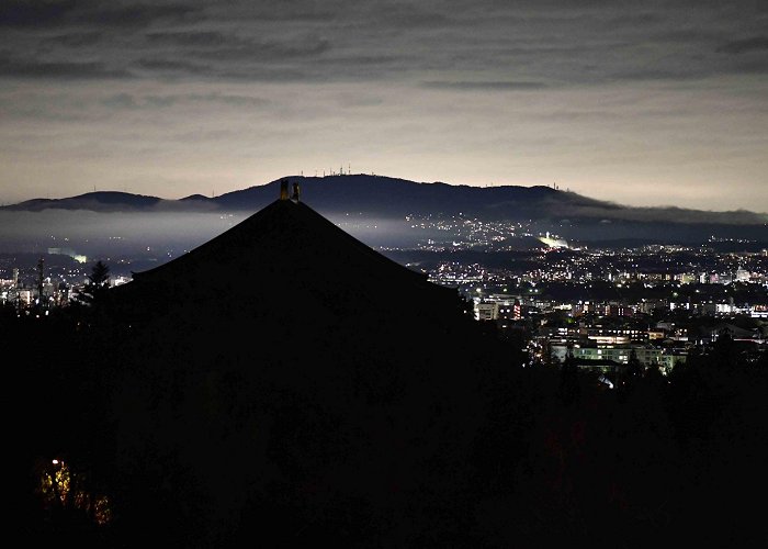 Waid City Hospital TOP Page - 東大寺 | Todaiji Temple photo