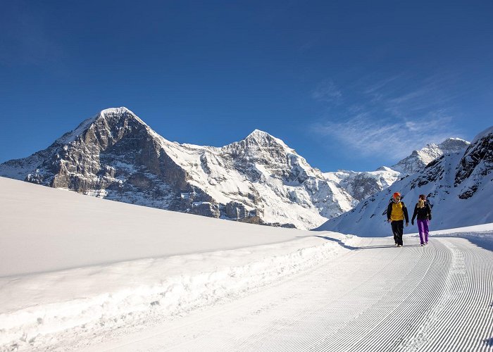 Innerwengen Jungfrau Region Hiking & Sledging Pass | jungfrau.ch photo