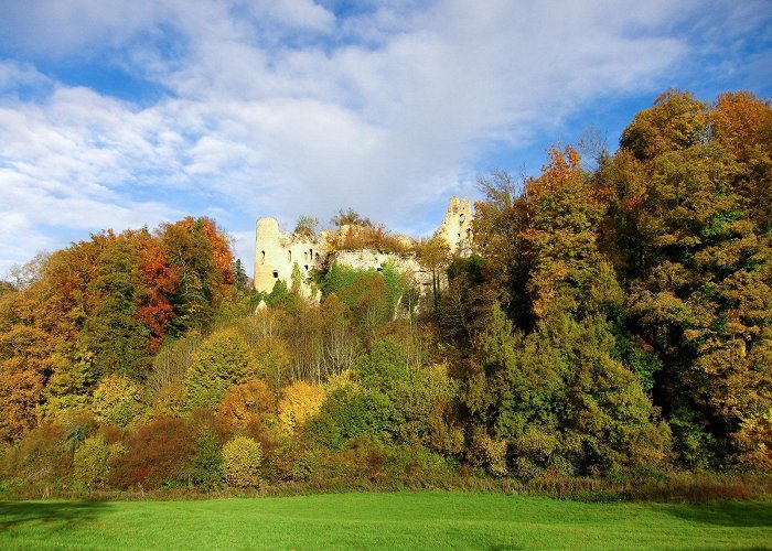 Schloss Burg Château du Morimont - Visit Alsace photo