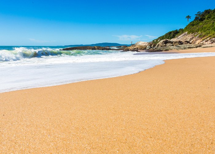 Estaleirinho Beach Estaleirinho Beach in Santa Catarina | Expedia.co.in photo