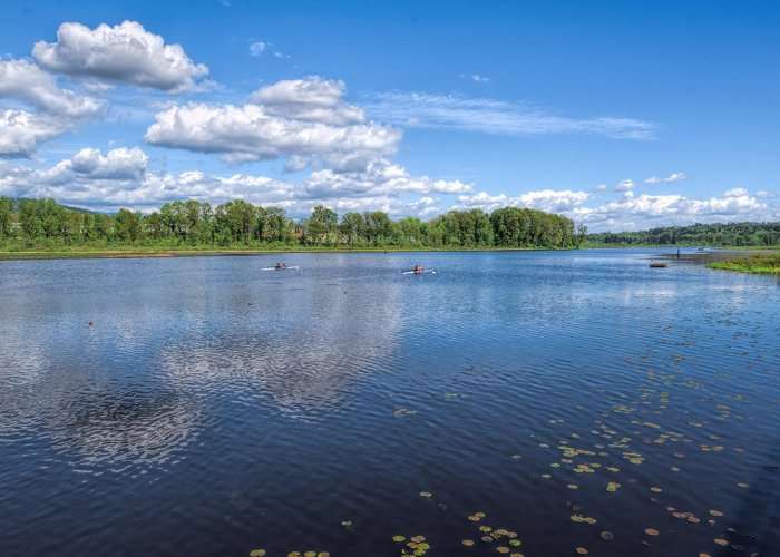 Vancouver Burnaby Lake Nature Vancouver Volunteers: City Nature Challenge at Burnaby Lake | Events photo