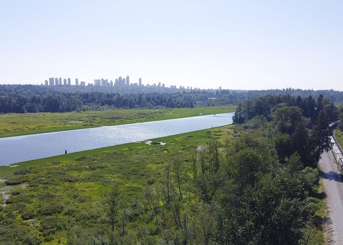 Vancouver Burnaby Lake Nature Altimus Design - Contact photo