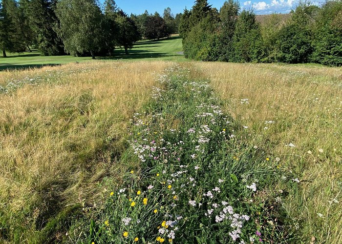 Golf Club de Lausanne A Thriving Habitat: Case Studies of Protected Wild Areas on 4 ... photo