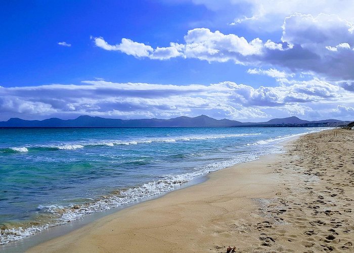 Playa de Muro (Mallorca) photo