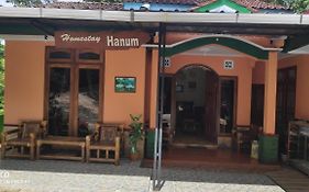 Homestay Hanum Bantul Exterior photo