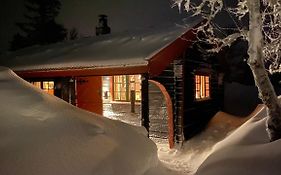 Bjerkely, Sjusjoen Villa Exterior photo