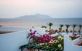 Coral Beach Resort Montazah (Adults Only) Sharm el-Sheikh Exterior photo