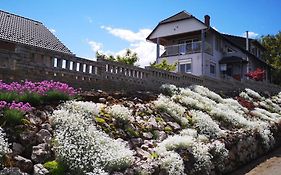 Szabo Vendeghaz Hotel Villany Exterior photo