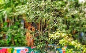 Mango Tree Ipanema Hostel Rio de Janeiro Exterior photo