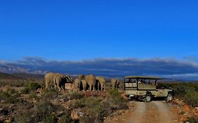 Sanbona Wildlife Reserve Villa Barrydale Exterior photo