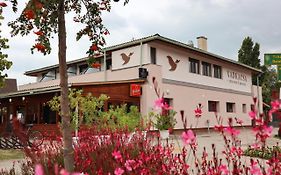 Vadkacsa Panzio Bed & Breakfast Balatonkenese Exterior photo