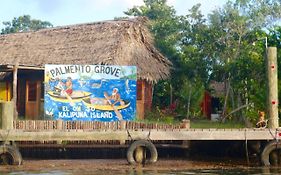 Palmento Grove Garifuna Eco-Cultural & Healing Institute Bed & Breakfast Hopkins Exterior photo