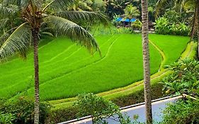 Umasari Rice Terrace Villa Tabanan  Exterior photo