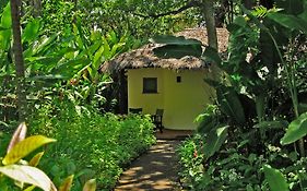 Moivaro Coffee Plantation Lodge Arusha Exterior photo