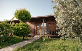 Serenity Bungalows Cirali Exterior photo