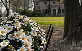 Agriturismo Corte San Girolamo Villa Mantova Exterior photo